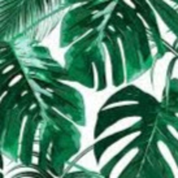 Meet your Posher, Hannah - Picture 1 of 1